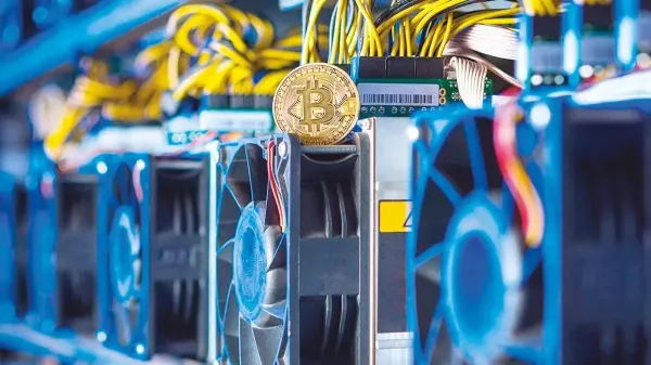 'Coin'ci ile oyuncunun kart savaşı